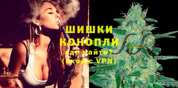 Альфа ПВП Аркадак
