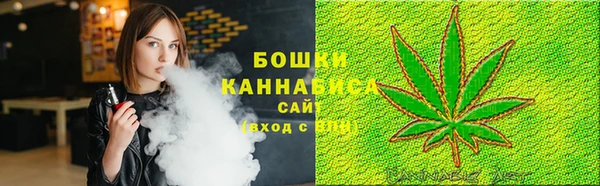 Альфа ПВП Аркадак