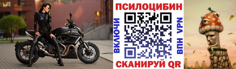 как найти закладки  Судак  Псилоцибиновые грибы ЛСД 